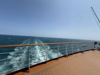 Auf den Weg nach Tasmanien/ Bass Streit