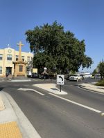 Verpflegungsstopp in New Norfolk