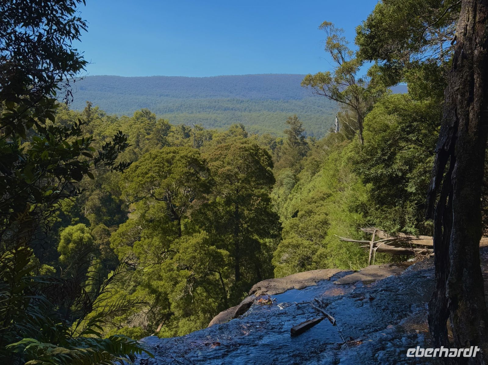 Wanderung im Mt. Field Nationalpark, Tasmanien