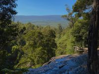 Wanderung im Mt. Field Nationalpark, Tasmanien