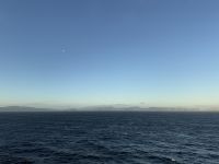 Auf dem Weg nach Neuseeland, tasmanische Küste