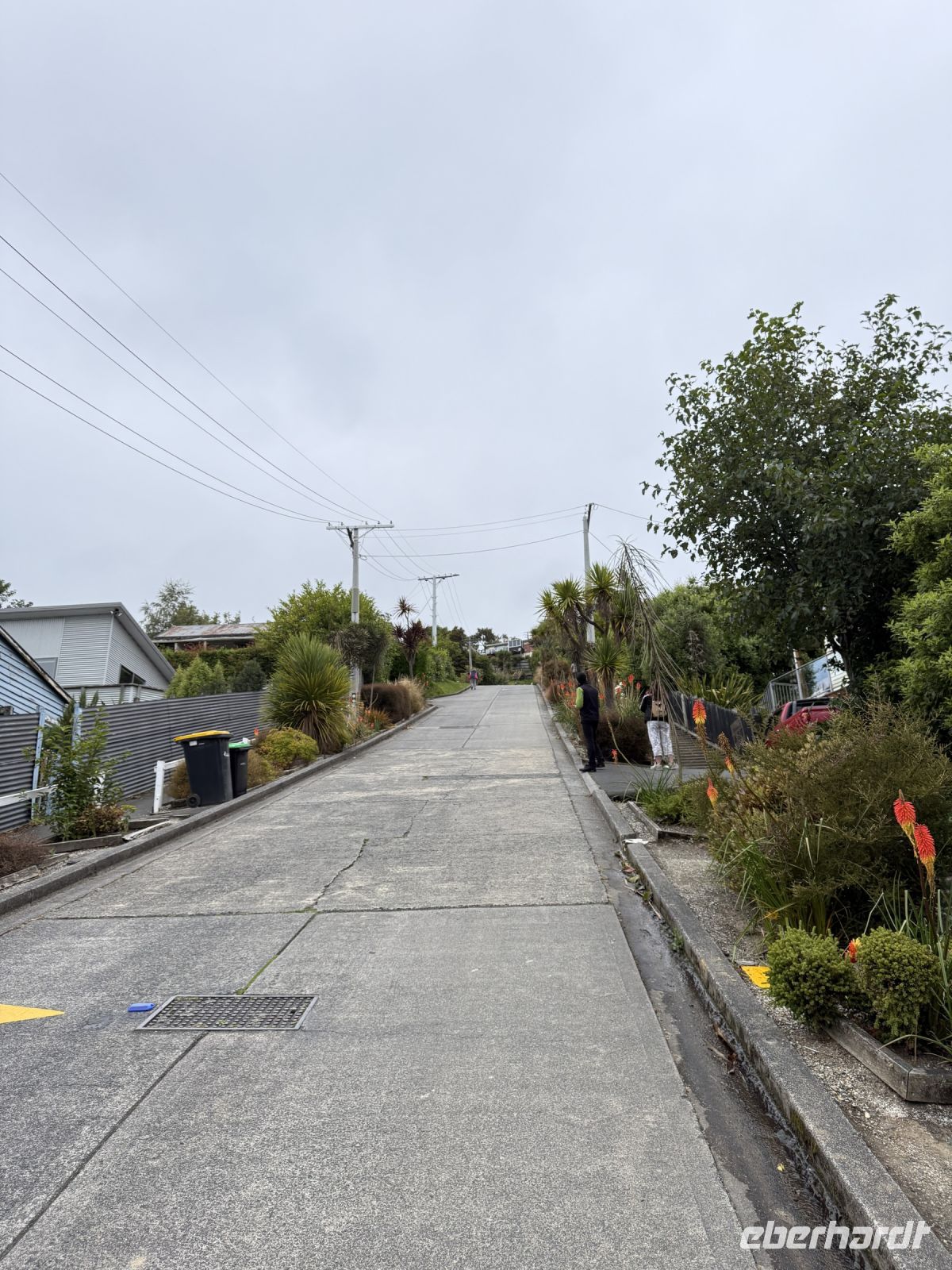 Baldwin Street - steilste Straße der Welt, Dunedin, Neuseeland