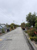 Baldwin Street - steilste Straße der Welt, Dunedin, Neuseeland