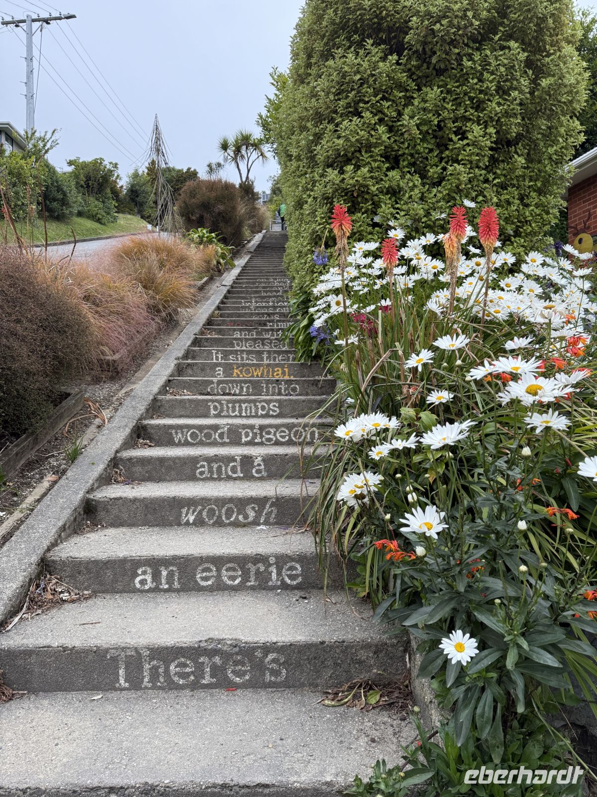 Baldwin Street - steilste Straße der Welt, Dunedin, Neuseeland