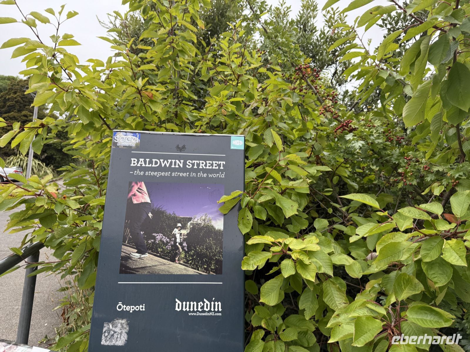 Baldwin Street - steilste Straße der Welt, Dunedin, Neuseeland