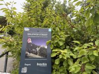 Baldwin Street - steilste Straße der Welt, Dunedin, Neuseeland