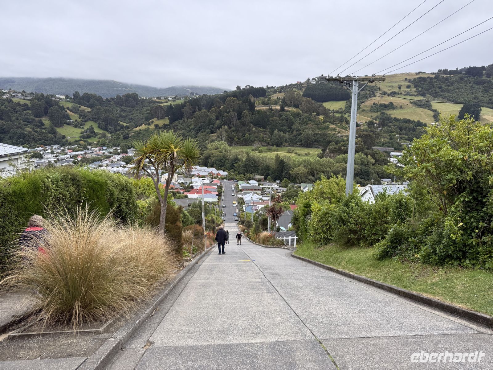 Baldwin Street - steilste Straße der Welt, Dunedin, Neuseeland