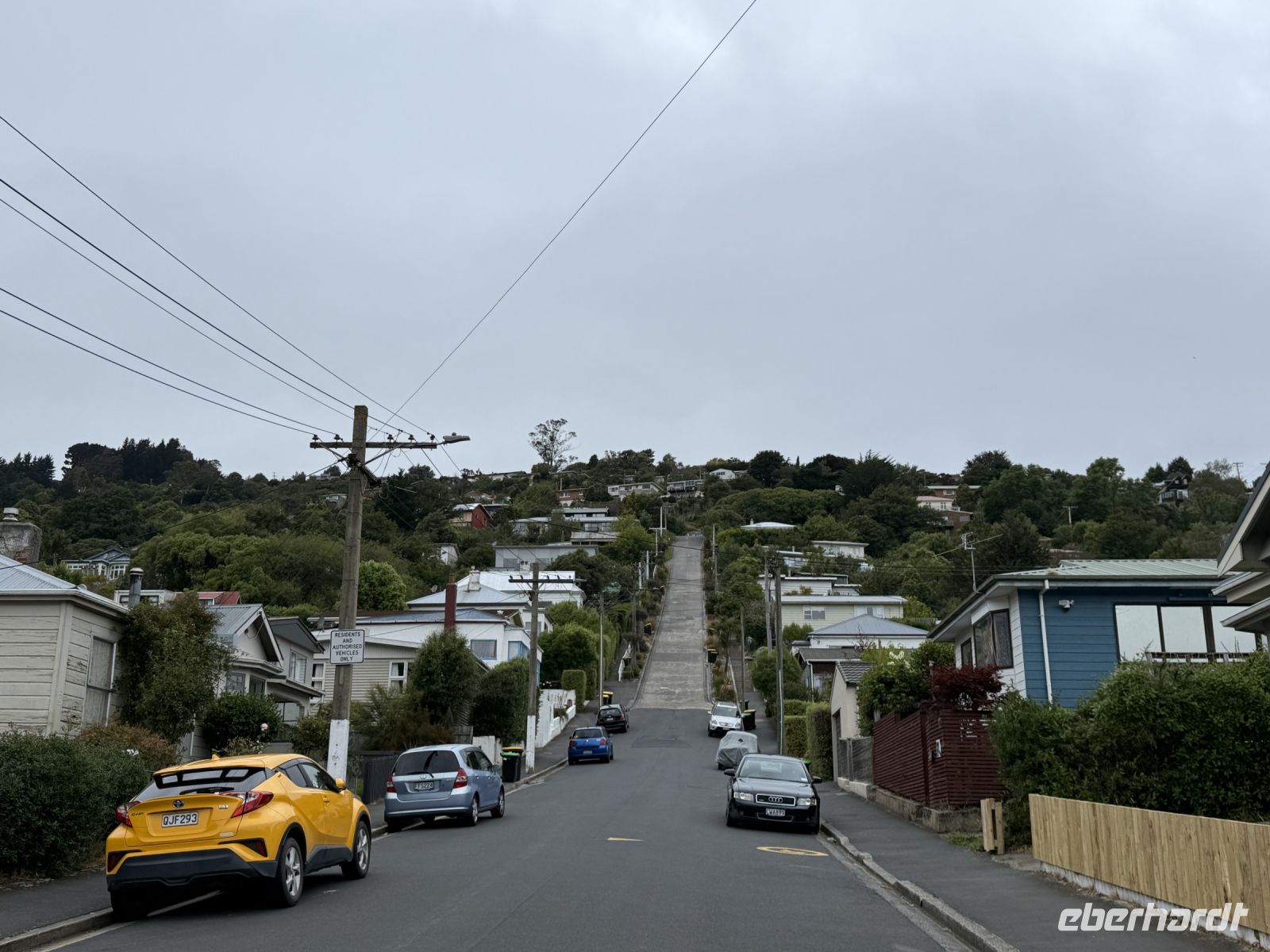Baldwin Street - steilste Straße der Welt, Dunedin, Neuseeland