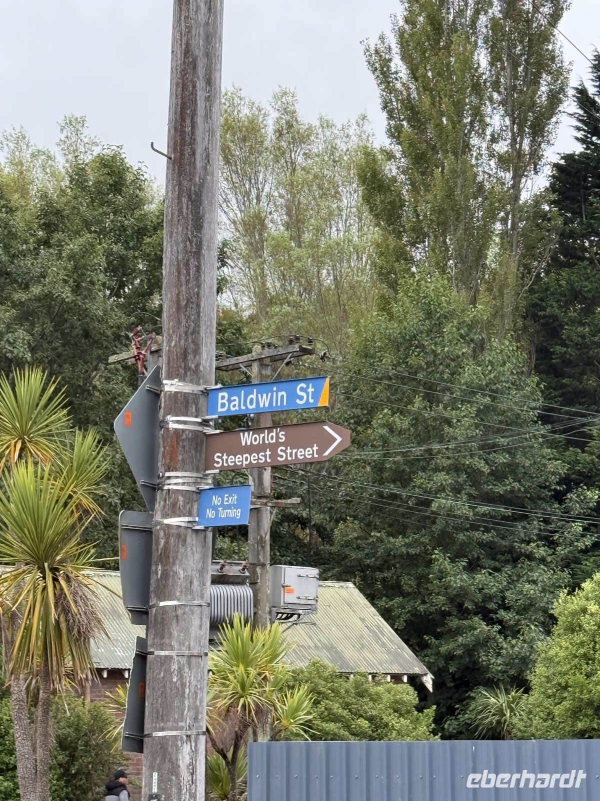Baldwin Street - steilste Straße der Welt, Dunedin, Neuseeland