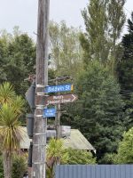 Baldwin Street - steilste Straße der Welt, Dunedin, Neuseeland