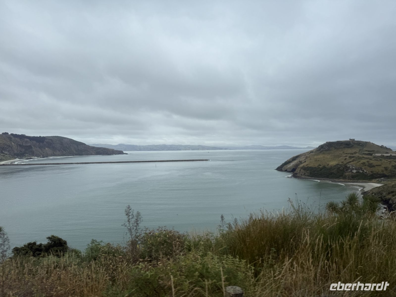Otago Halbinsel, Dunedin, Neuseeland