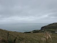 Otago Halbinsel, Dunedin, Neuseeland