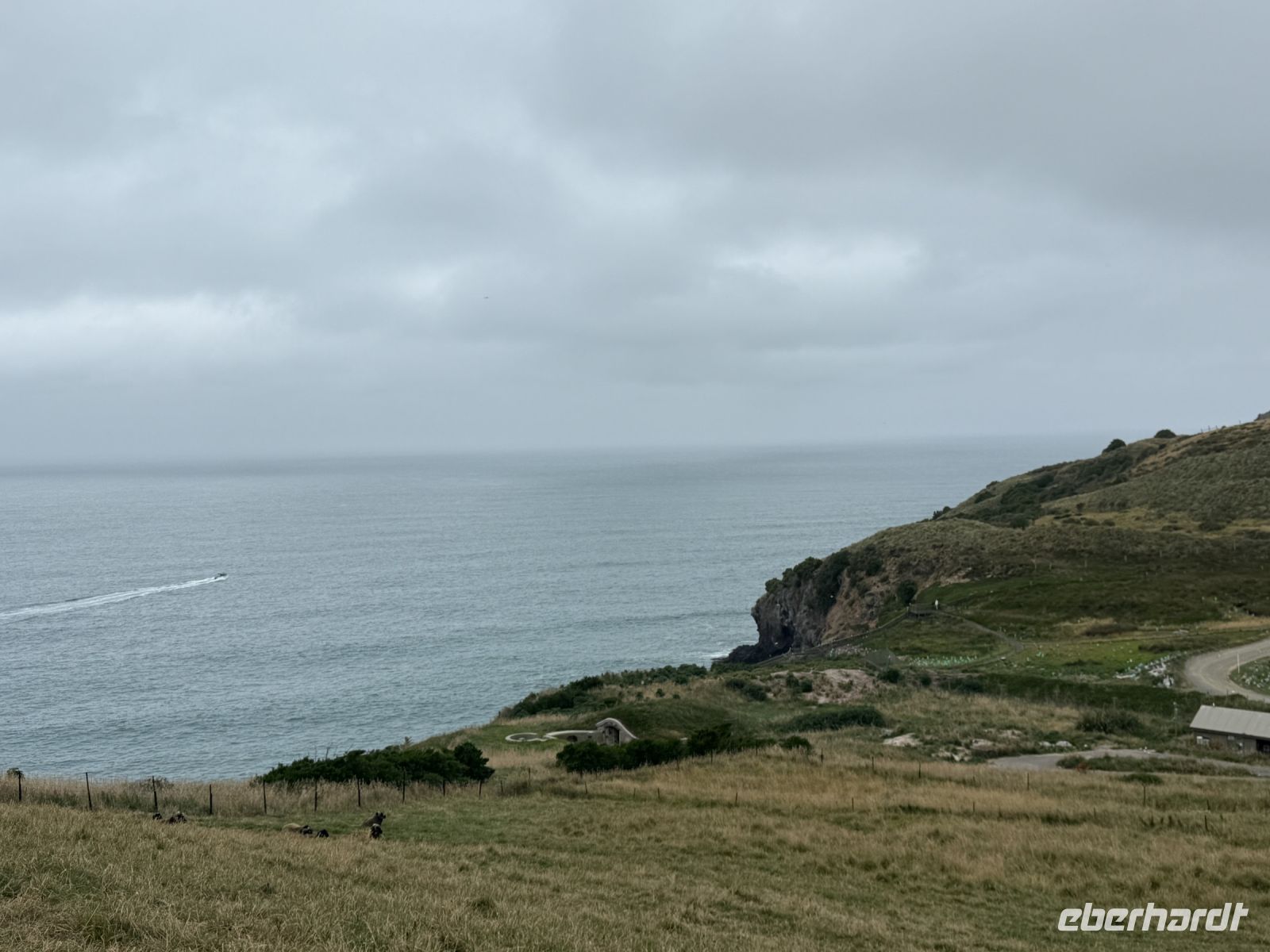 Otago Halbinsel, Dunedin, Neuseeland