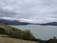 Fahrt auf die Akaroa Halbinsel, Neuseeland