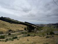 Fahrt auf die Akaroa Halbinsel, Neuseeland