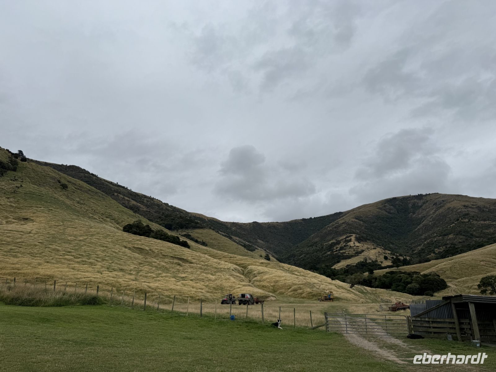 Manderly Farm, little River, Neuseeland