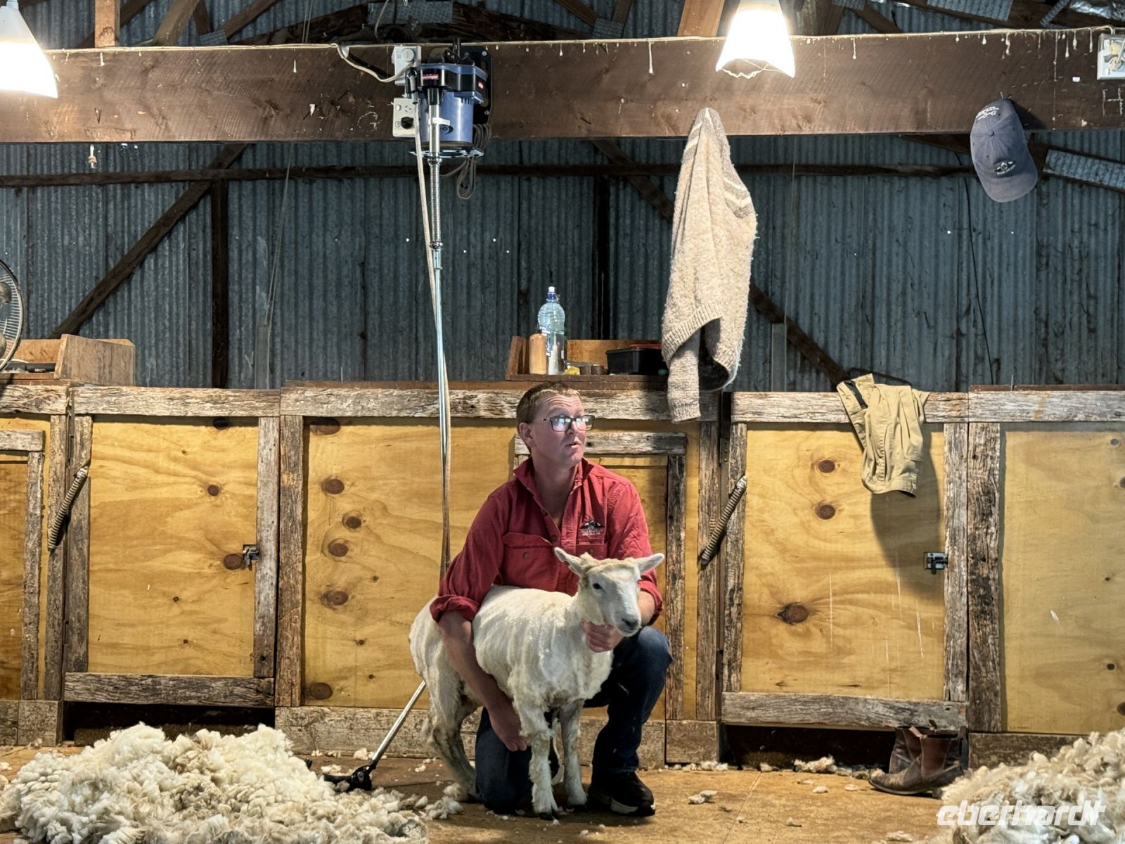 Manderly Farm, little River, Neuseeland