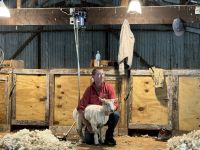 Manderly Farm, little River, Neuseeland