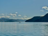 Queen Charlotte Sound, Picton, Neuseeland