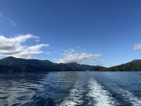 Queen Charlotte Sound, Picton, Neuseeland