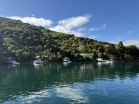 Queen Charlotte Sound, Picton, Neuseeland
