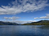 Queen Charlotte Sound, Picton, Neuseeland