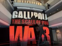 Te Papa Tongarewa Museum Wellington, Neuseeland