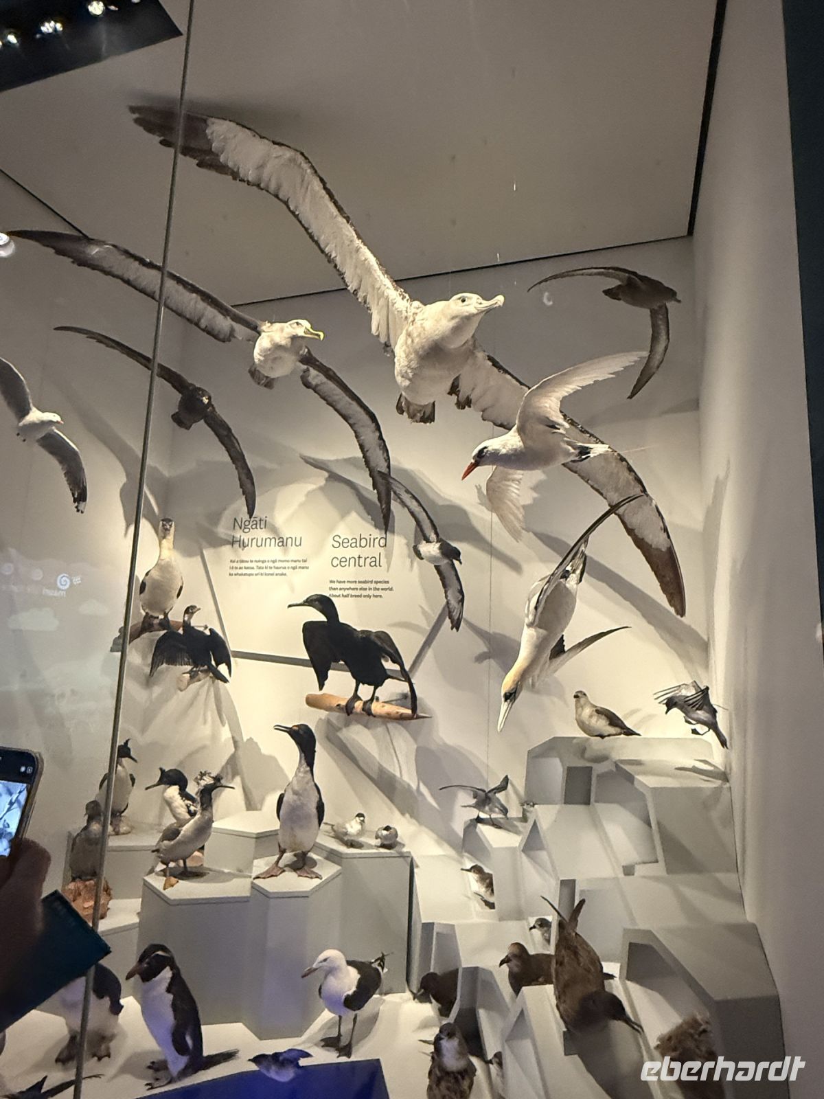 Te Papa Tongarewa Museum Wellington, Neuseeland