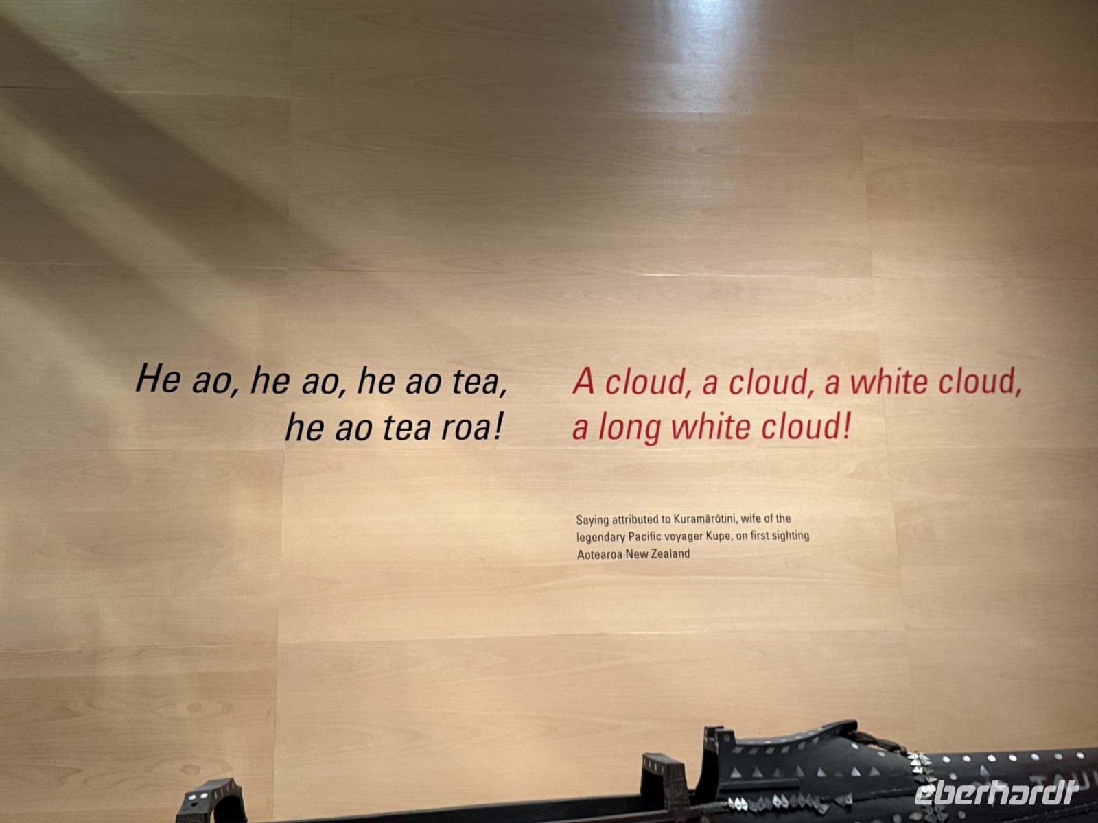 Te Papa Tongarewa Museum Wellington, Neuseeland