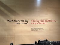 Te Papa Tongarewa Museum Wellington, Neuseeland