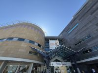 Te Papa Tongarewa Museum Wellington, Neuseeland