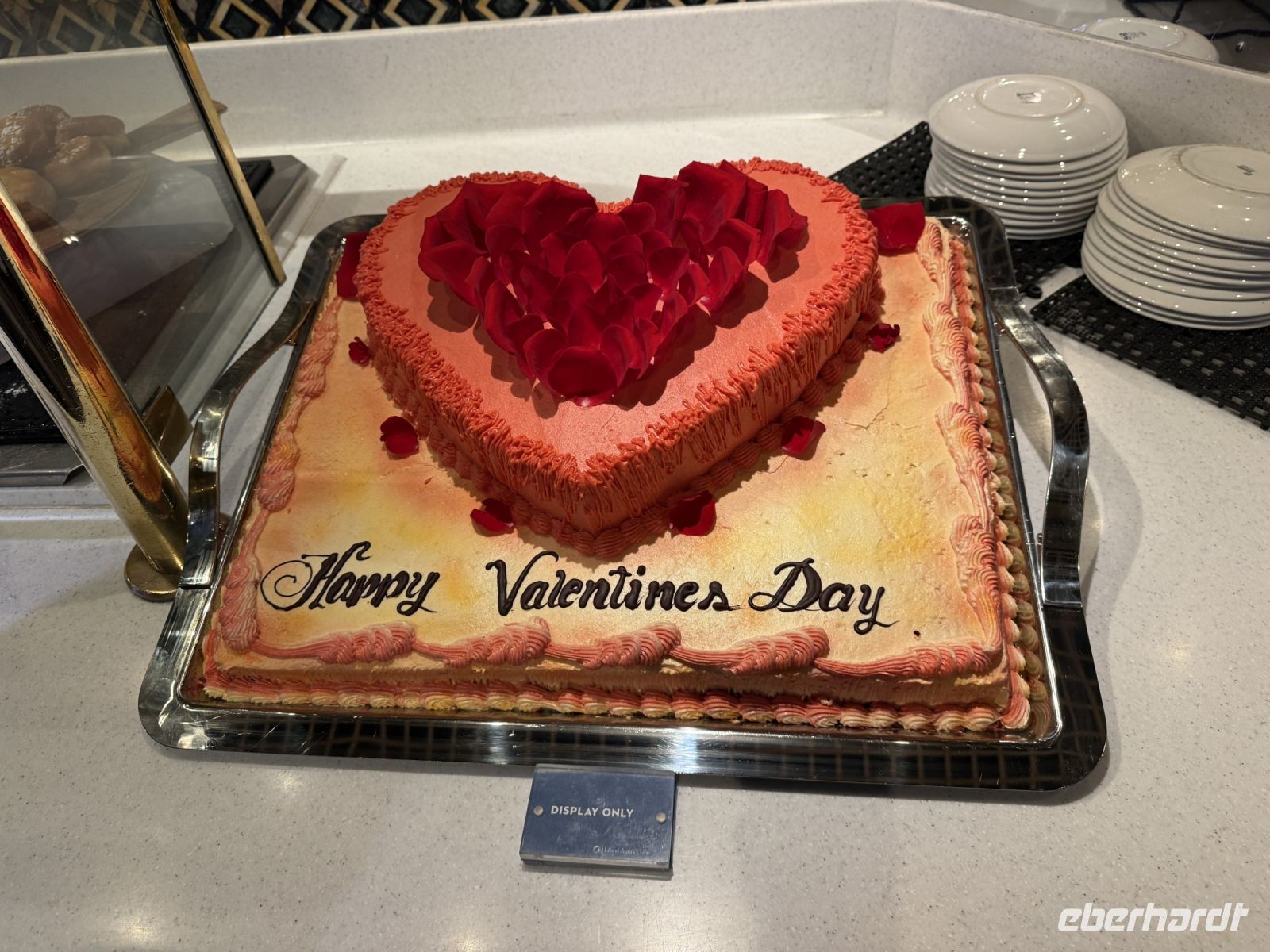 Valentinstag an Bord der MS Westerdam