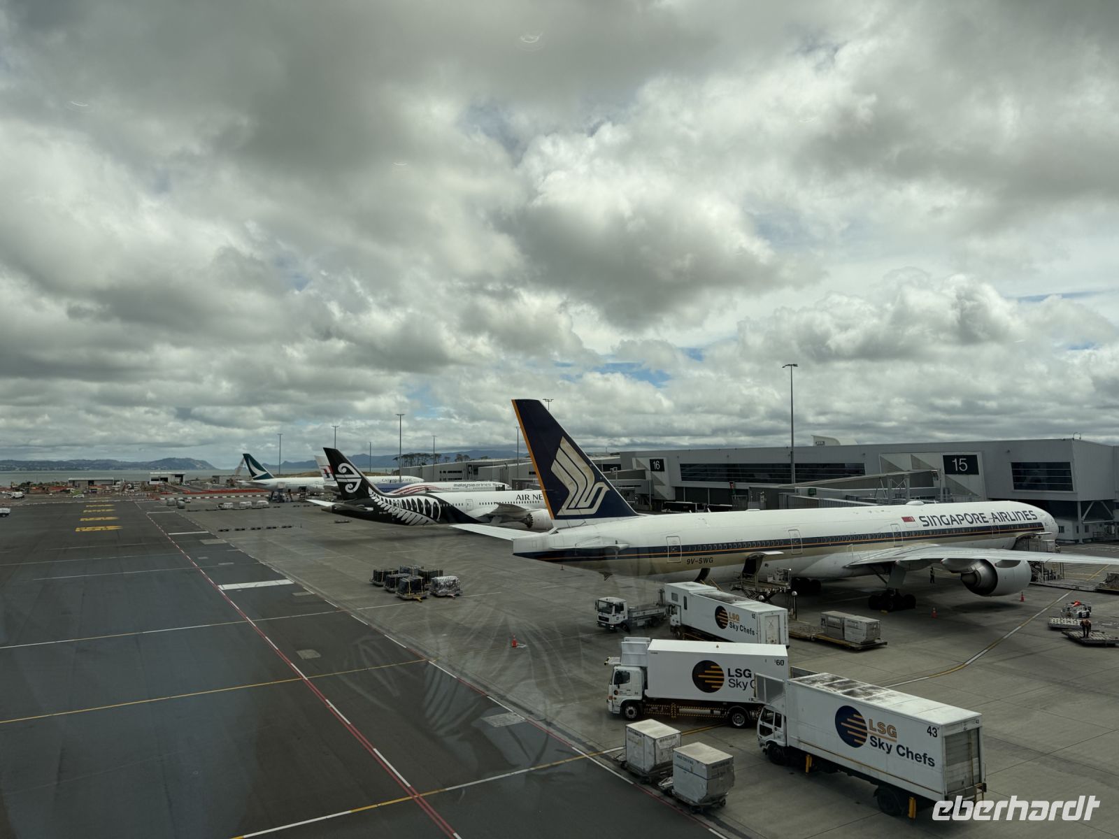 Rückflug nach Deutschland