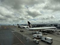 Rückflug nach Deutschland