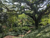13. Fort Canning Park, Singapur