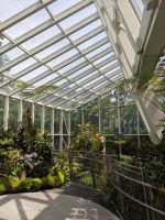 24. Orchideengarten Singapur