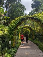 28. Orchideengarten Singapur