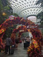 31. Jewel Singapur Flughafen