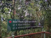 46. Seilbahnfahrt nach Kuranda, Australien