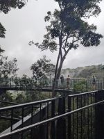 50. Seilbahnfahrt nach Kuranda, Australien