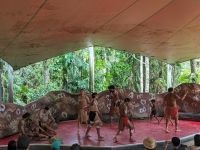 56. Aboriginal Cultural Experience, Kuranda, Australien
