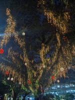 64. Cairns Wasserfront, Australien