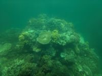 71. Katamaranfahrt zum Great Barrier Reaf, Australien