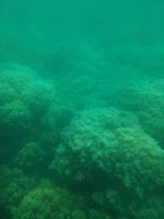 72. Katamaranfahrt zum Great Barrier Reaf, Australien