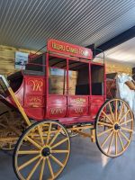 81. Kamelfarm, Outback, Australien