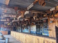 82. Kamelfarm, Outback, Australien