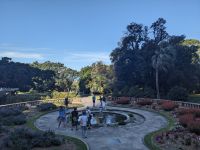 139. Botanischer Garten, Sydney, Australien