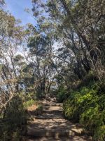 151. Blue Mountains Nationalpark, Australien