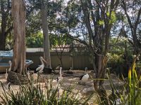 162. Featherdale Wildlife Park, Sydney, Australien