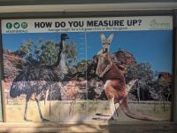 164. Featherdale Wildlife Park, Sydney, Australien